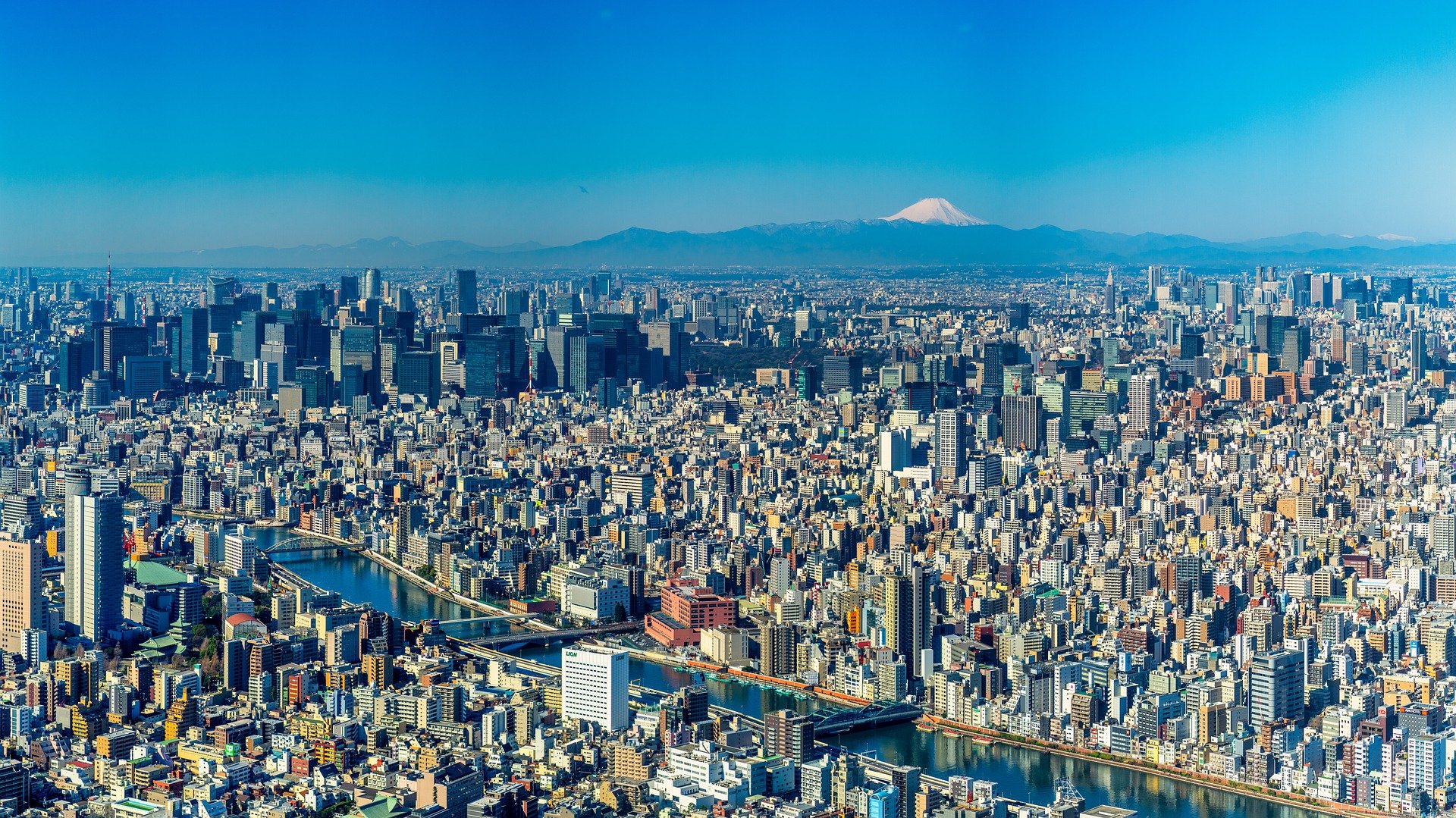 都市だより（1）都市の密度とは？ 東京カレッジ